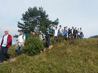 zloty lisc 2016 (18)